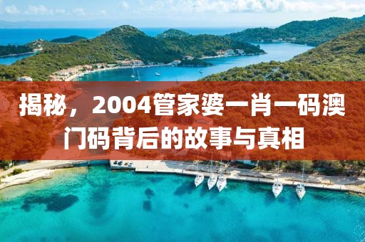 揭秘，2004管家婆一肖一码澳门码背后的故事与真相