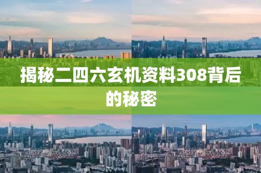 揭秘二四六玄机资料308背后的秘密