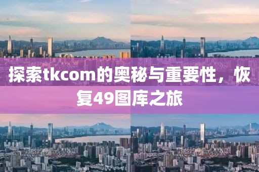 探索tkcom的奥秘与重要性，恢复49图库之旅