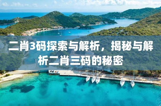 二肖3码探索与解析，揭秘与解析二肖三码的秘密
