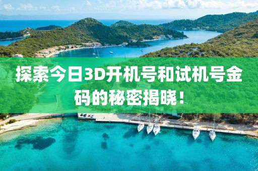 探索今日3D开机号和试机号金码的秘密揭晓！