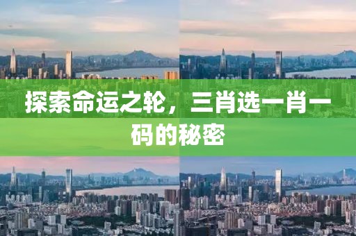 探索命运之轮，三肖选一肖一码的秘密