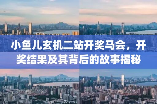 小鱼儿玄机二站开奖马会，开奖结果及其背后的故事揭秘