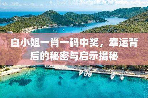 白小姐一肖一码中奖，幸运背后的秘密与启示揭秘
