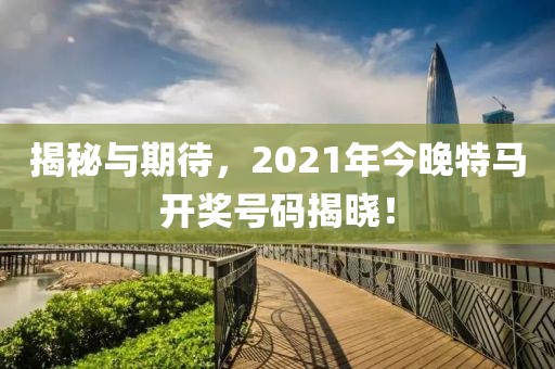 揭秘与期待，2021年今晚特马开奖号码揭晓！