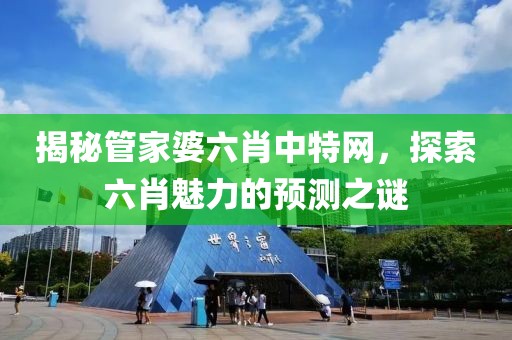 揭秘管家婆六肖中特网，探索六肖魅力的预测之谜