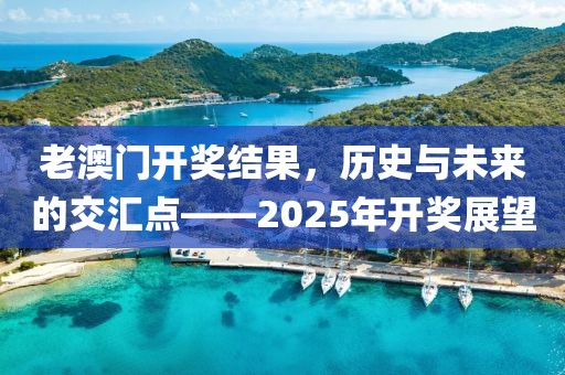 老澳门开奖结果，历史与未来的交汇点——2025年开奖展望