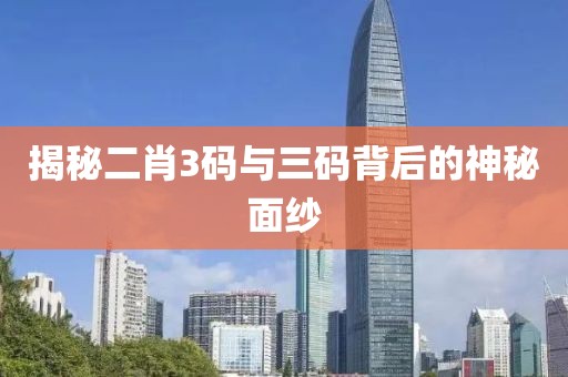 揭秘二肖3码与三码背后的神秘面纱