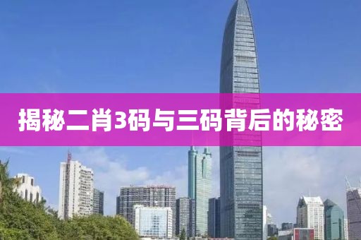 揭秘二肖3码与三码背后的秘密