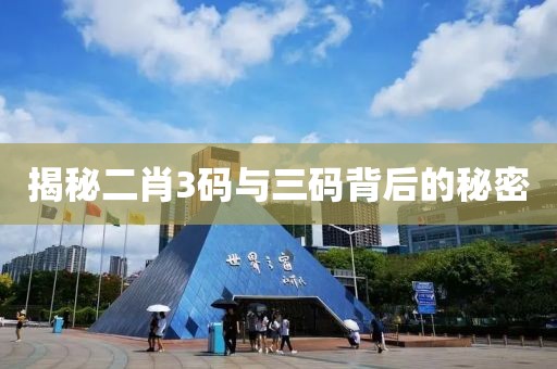 揭秘二肖3码与三码背后的秘密