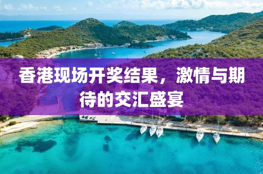 香港现场开奖结果，激情与期待的交汇盛宴