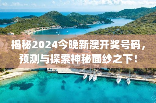 2024今晚新澳开奖号码