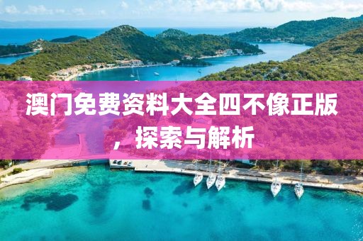澳门免费资料大全四不像正版，探索与解析