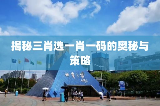 揭秘三肖选一肖一码的奥秘与策略