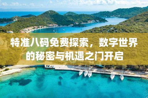 特准八码免费探索，数字世界的秘密与机遇之门开启