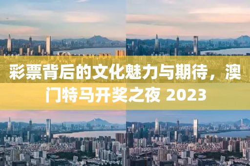 彩票背后的文化魅力与期待，澳门特马开奖之夜 2023