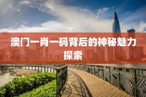 澳门一肖一码背后的神秘魅力探索