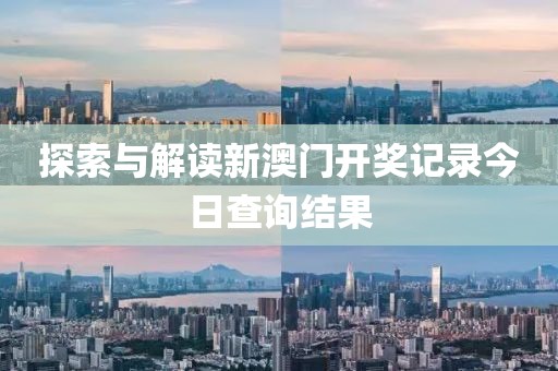 探索与解读新澳门开奖记录今日查询结果