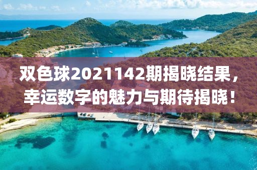 双色球2021142期揭晓结果，幸运数字的魅力与期待揭晓！