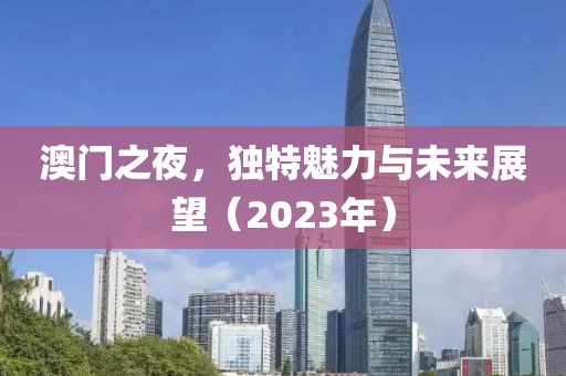 澳门之夜，独特魅力与未来展望（2023年）