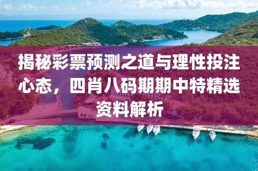 四肖八码期期中特精选资料