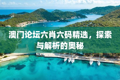 澳门论坛六肖六码精选，探索与解析的奥秘