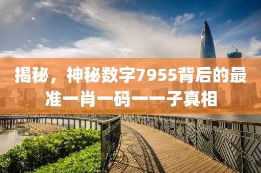 揭秘，神秘数字7955背后的最准一肖一码一一子真相