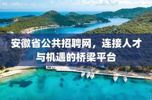 安徽省公共招聘网，连接人才与机遇的桥梁平台