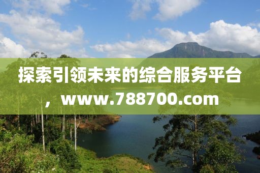 探索引领未来的综合服务平台，www.788700.com
