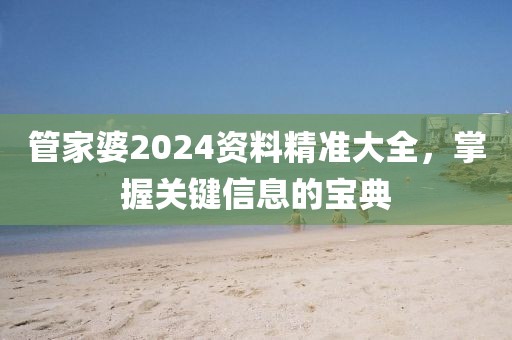 管家婆2024资料精准大全，掌握关键信息的宝典