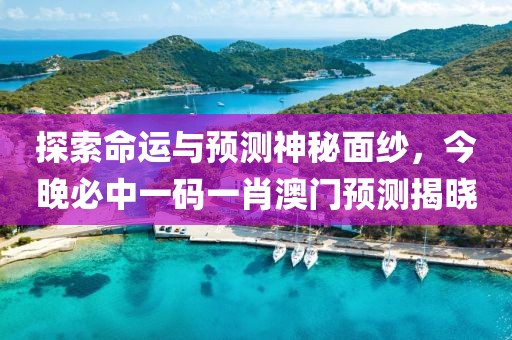 探索命运与预测神秘面纱，今晚必中一码一肖澳门预测揭晓