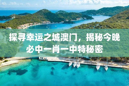 探寻幸运之城澳门，揭秘今晚必中一肖一中特秘密