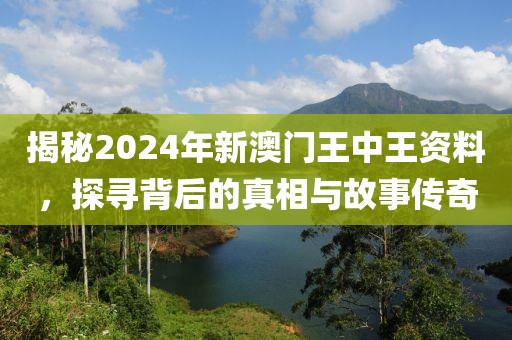 揭秘2024年新澳门王中王资料，探寻背后的真相与故事传奇