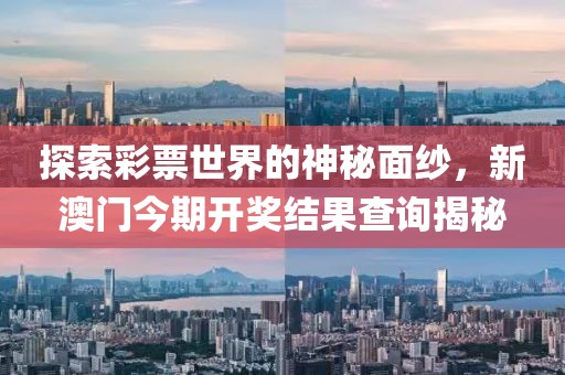 探索彩票世界的神秘面纱，新澳门今期开奖结果查询揭秘