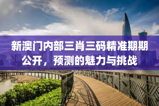 新澳门内部三肖三码精准期期公开，预测的魅力与挑战