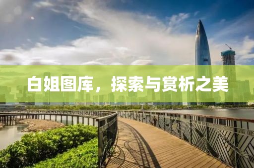 白姐图库，探索与赏析之美