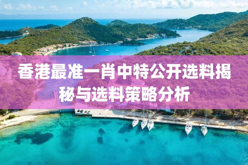 香港最准一肖中特公开选料揭秘与选料策略分析