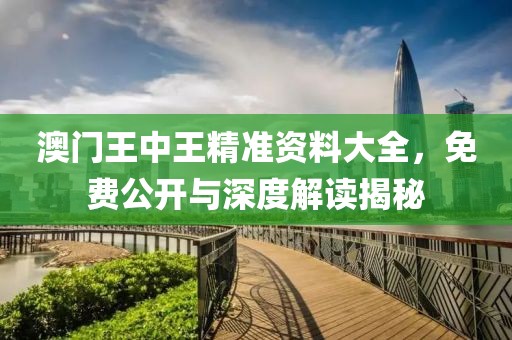 澳门王中王精准资料大全，免费公开与深度解读揭秘