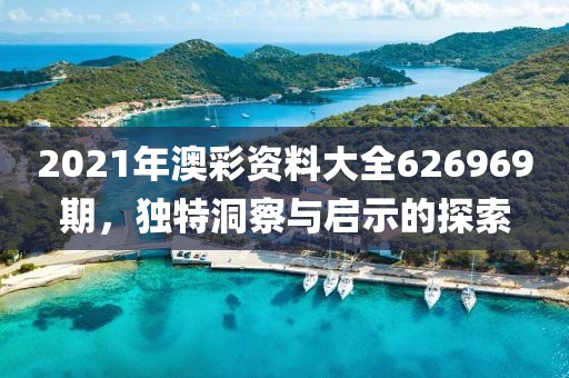 2021年澳彩资料大全626969期，独特洞察与启示的探索