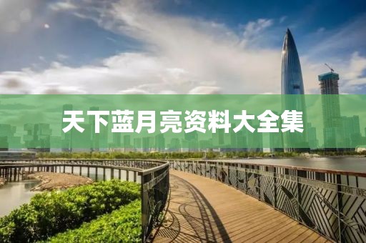 天下蓝月亮资料大全集