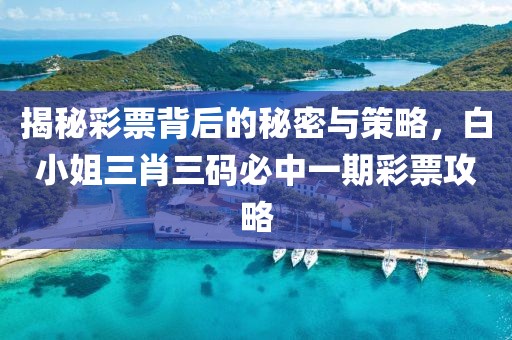 白小姐三肖三码必中一期
