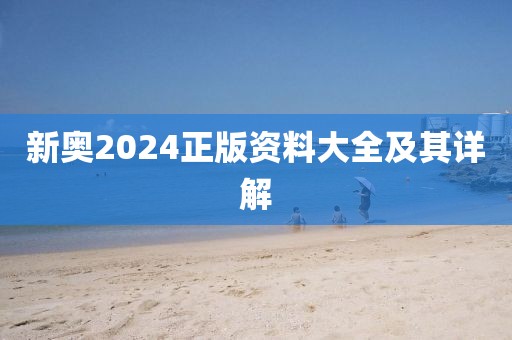 新奥2024正版资料大全及其详解