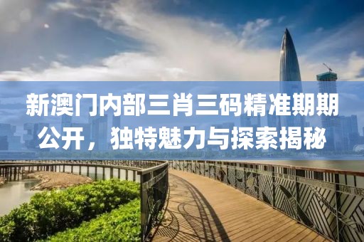新澳门内部三肖三码精准期期公开，独特魅力与探索揭秘