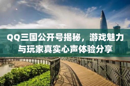 QQ三国公开号揭秘，游戏魅力与玩家真实心声体验分享