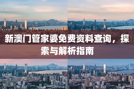 新澳门管家婆免费资料查询，探索与解析指南