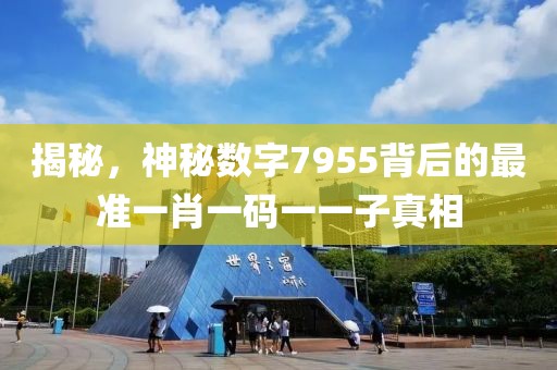 揭秘，神秘数字7955背后的最准一肖一码一一子真相