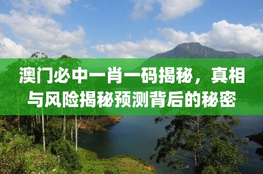 澳门必中一肖一码揭秘，真相与风险揭秘预测背后的秘密