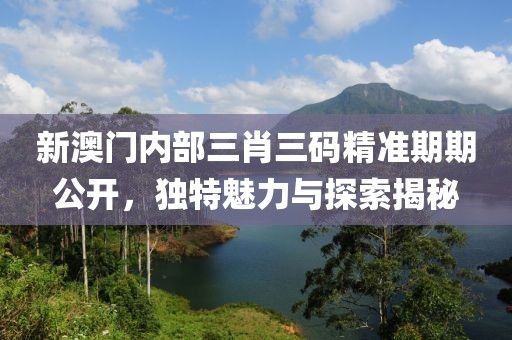 新澳门内部三肖三码精准期期公开，独特魅力与探索揭秘