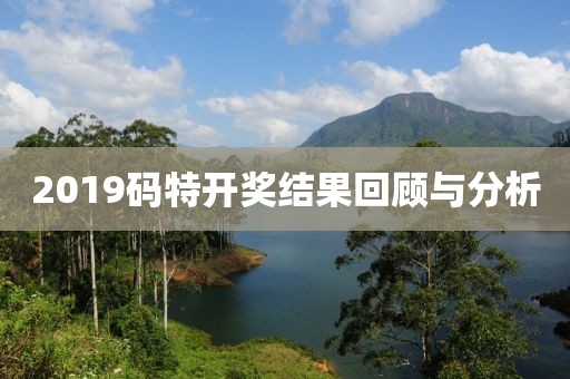 2019码特开奖结果回顾与分析
