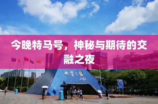 今晚特马号，神秘与期待的交融之夜
